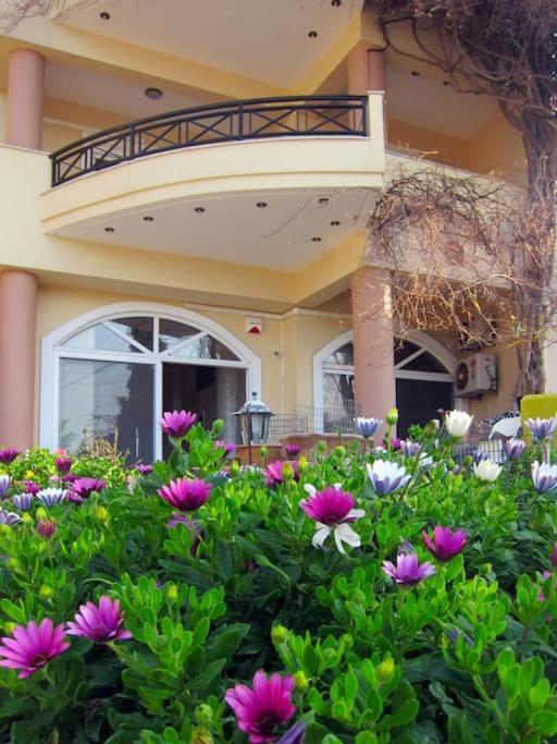 Lenico Beachfront Suites Agia Pelagia Exterior foto