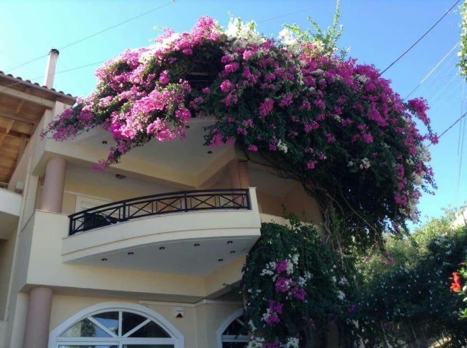 Lenico Beachfront Suites Agia Pelagia Exterior foto