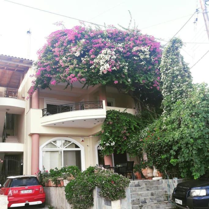 Lenico Beachfront Suites Agia Pelagia Exterior foto